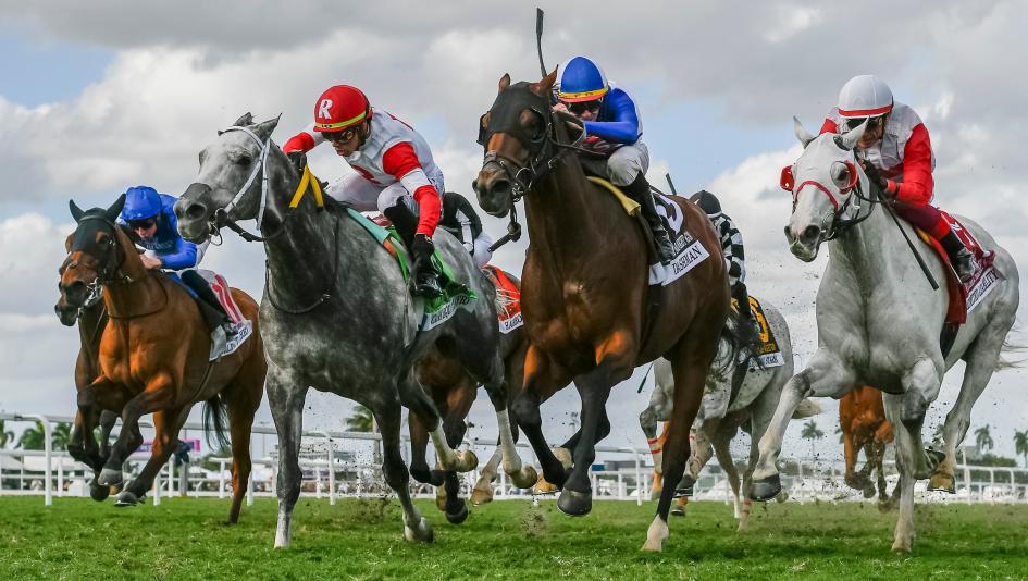 Pegasus World Cup, Gulfstream Park, America's Best Racing, horse racing, ABR